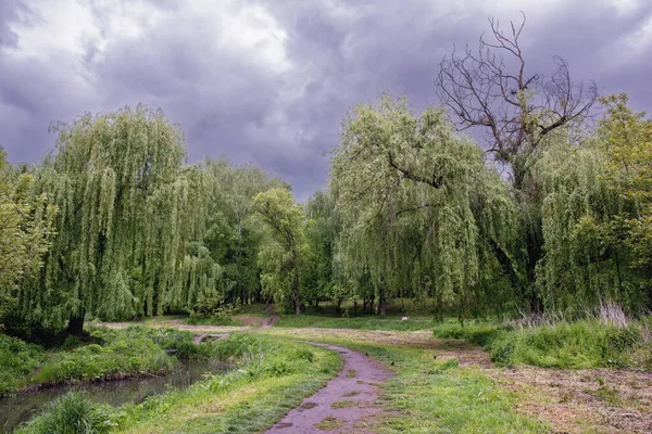 Summer Landscape Storm Clouds Trees Path River Park — Stock Photo, Image