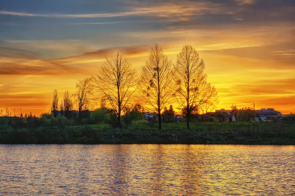 Sunset Pond Shoreline — Stock Photo, Image