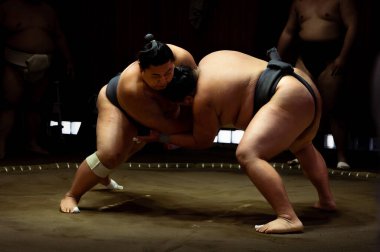 Shadows of Strength: Sumo Wrestlers Face Off in Low Key Training clipart