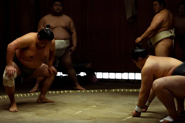 Gücün Gölgeleri: Sumo Güreşçileri Alçak Anahtar Eğitiminde Karşı Karşıya