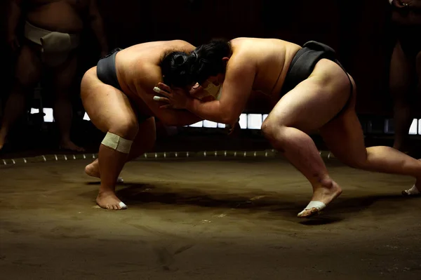 stock image Shadows of Strength: Sumo Wrestlers Face Off in Low Key Training