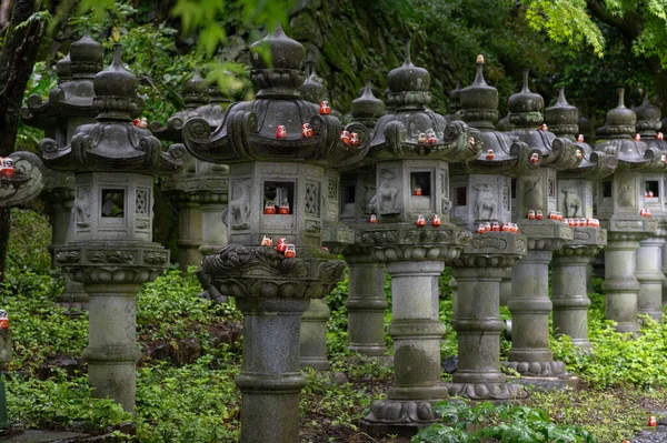 Japonya 'nın Osaka caddelerinde Darumas kalabalığını gösteren canlı bir görüntü. Bu ikonik Japon geleneğinin renkli ve kültürel açıdan zengin bir temsili. Japonca projeler için mükemmel
