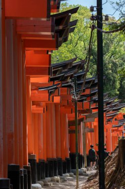 Bin Torii Kapısı Tapınağı. Fushimi Inari Tapınağı. Binlerce vermilion torii kapısıyla ünlüdür. Japonya