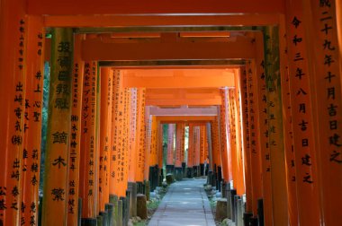 Bin Torii Kapısı Tapınağı. Fushimi Inari Tapınağı. Binlerce vermilion torii kapısıyla ünlüdür. Japonya