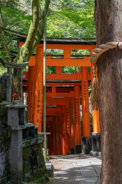 Bin Torii Kapısı Tapınağı. Fushimi Inari Tapınağı. Binlerce vermilion torii kapısıyla ünlüdür. Japonya