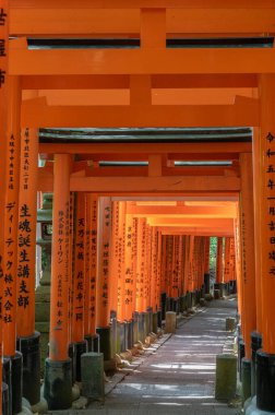 Bin Torii Kapısı Tapınağı. Fushimi Inari Tapınağı. Binlerce vermilion torii kapısıyla ünlüdür. Japonya