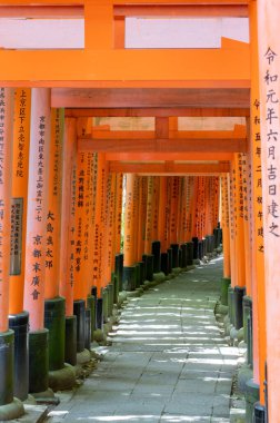 Bin Torii Kapısı Tapınağı. Fushimi Inari Tapınağı. Binlerce vermilion torii kapısıyla ünlüdür. Japonya