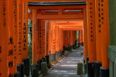 Bin Torii Kapısı Tapınağı. Fushimi Inari Tapınağı. Binlerce vermilion torii kapısıyla ünlüdür. Japonya