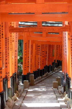 Bin Torii Kapısı Tapınağı. Fushimi Inari Tapınağı. Binlerce vermilion torii kapısıyla ünlüdür. Japonya