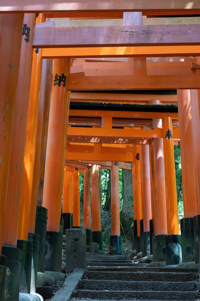 Shrine Thousand Torii Gates Fushimi Inari Shrine Famous Its Thousands — Stock Photo, Image