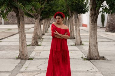 Frida 'dan esinlenerek Frida Kahlo' yu andıran Meksikalı bir kadın narin kemer yolları altında yaşlanmış bir sandalyeyi şereflendirir. Bir ışık ve gölge oyunuyla yıkandı, geleneksel kıyafetleri ve derin derin bakışları