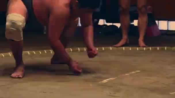 Sumo Spor Adamı Japonya Sumo Turnuvası Nın Final Gününde Tokyo — Stok video
