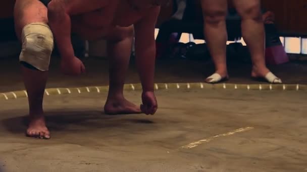Sumo Sport Man Dniu Finałowej Rundy Konkursu Japan Sumo Tournament — Wideo stockowe