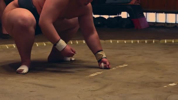 Sumo Sport Man Nell Ultimo Del Japan Sumo Tournament Tokyo — Video Stock