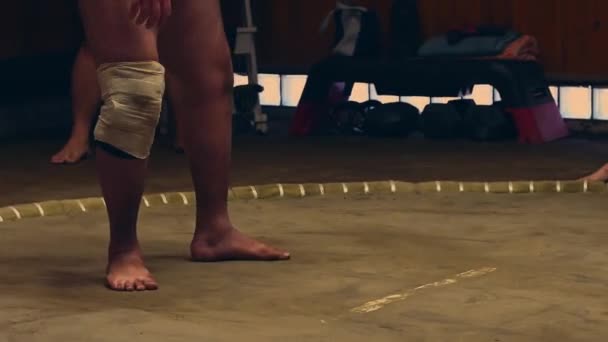 Sumo Sport Man Dniu Finałowej Rundy Konkursu Japan Sumo Tournament — Wideo stockowe