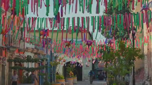 Festivalci Oaxaca Sokaklardaki Noel Sihri — Stok video