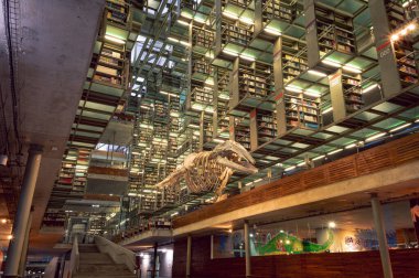 Mexico City, Meksika 'nın şehir merkezindeki Vasconcelos Kütüphanesi' nin (Biblioteca Vasconcelos) iç görünümü. 