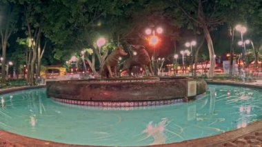 Frida Khalo müzesi ve otantik Meksika restoranlarına ev sahipliği yapan tarihi bölgedeki güzel Coyoacan caddeleri ve evleri.