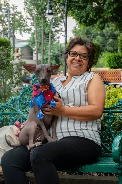 İspanyol kadın elinde xoloitzcuintle xolo köpek kılı, Meksikalı güzel kadın Coyoacan çeşmesinde Meksika
