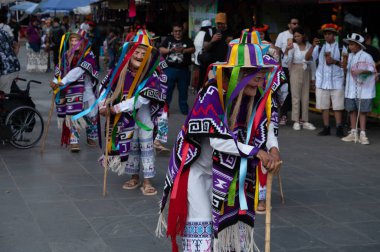 Danza de los viejitos, geleneksel Meksika dansı.