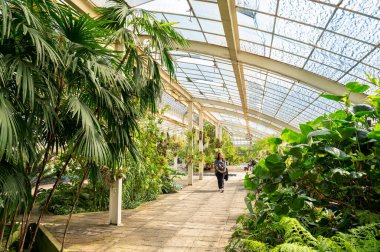 Botanik Bahçeleri Mexico City Chapultepec