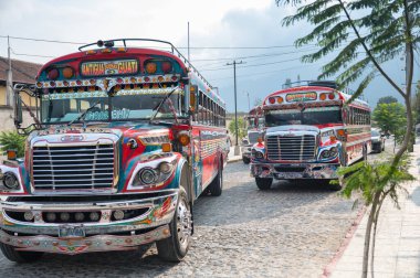 Antigua Guatemala 'nın kaldırım taşı sokağına park edilmiş parlak dekore edilmiş tavuk otobüsleri, arka planda volkanlar ve geleneksel ulaşım ve canlı yerel kültürleri gözler önüne seriyor..