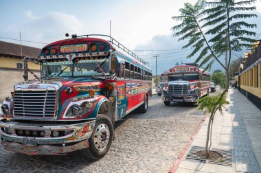 Antigua Guatemala 'nın kaldırım taşı sokağına park edilmiş parlak dekore edilmiş tavuk otobüsleri, arka planda volkanlar ve geleneksel ulaşım ve canlı yerel kültürleri gözler önüne seriyor..