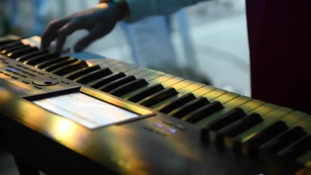 Bir Müzisyenin Klavye Çalarkenki Yakın Çekimi — Stok video
