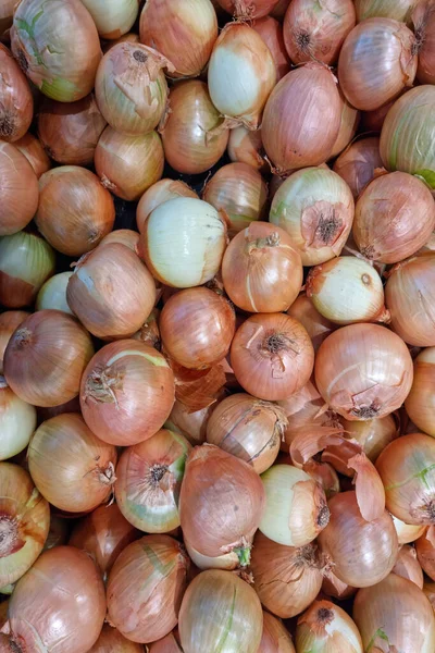 stock image a bunch of onions on the textured background of fruits and vegetables