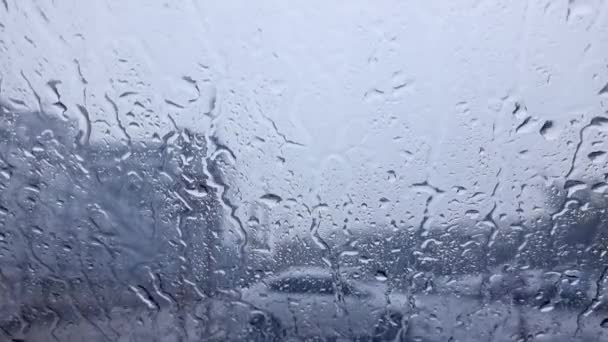 雨が車の窓を打つぼやけた自然背景 — ストック動画