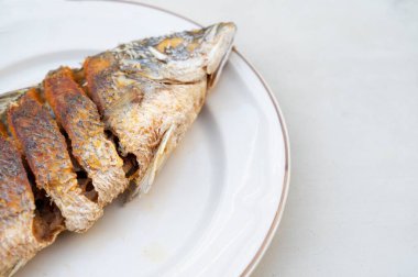 Çeşitli önemli durumlarda metin için kopyalama alanı üzerinde beyaz tabakta kızarmış balık