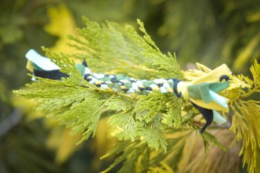 Soft fluffy fleece toys for dog. soft toy from fleece suitable for every dog and cat