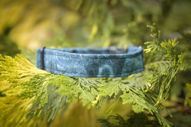 Her köpek için güzel bir tasma. Herkes çok yakışmış.!