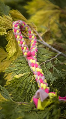 Soft fluffy fleece toys for dog. soft toy from fleece suitable for every dog and cat