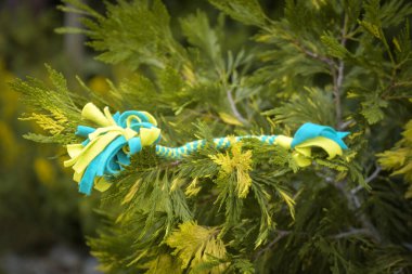 Soft fluffy fleece toys for dog. soft toy from fleece suitable for every dog and cat