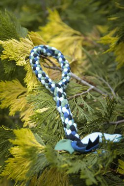 Soft fluffy fleece toys for dog. soft toy from fleece suitable for every dog and cat