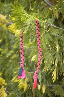 Soft fluffy fleece toys for dog. soft toy from fleece suitable for every dog and cat