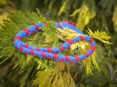 Soft fluffy fleece toys for dog. soft toy from fleece suitable for every dog and cat