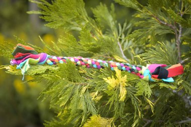 Soft fluffy fleece toys for dog. soft toy from fleece suitable for every dog and cat