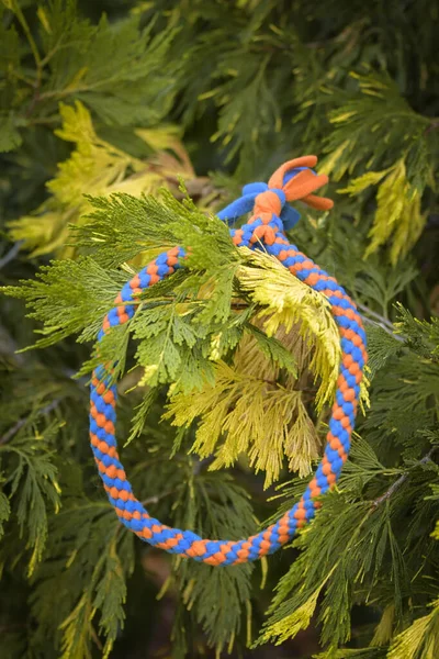 Soft fluffy fleece toys for dog. soft toy from fleece suitable for every dog and cat