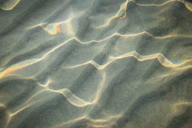 translucent water in the sea. colorful fish and sunshine reflection