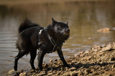 Genç bir kadın, gölette suyun içinde duruyor. Çok güzel bir yüzü var. Çok sabırlı bir model..