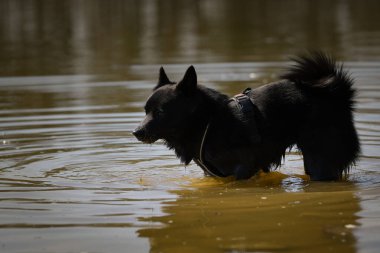 Genç bir kadın, gölette suyun içinde duruyor. Çok güzel bir yüzü var. Çok sabırlı bir model..
