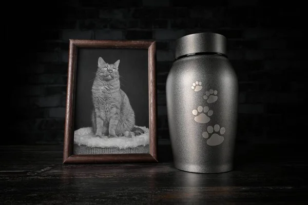 Recuerdo Una Mascota Urna Decorativa Junto Una Fotografía Mascota Imagen de stock