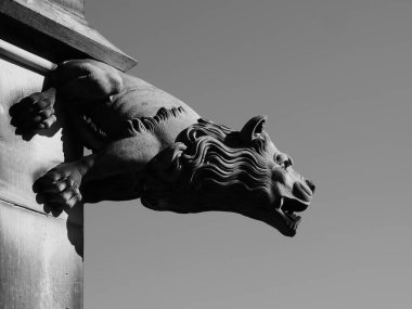 Ulm, Baden-wuerttemberg, Almanya - 20 Ağustos 2023: Ulm Minster, Almanya 'da Gargoyle.