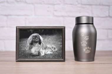 Dekoratif vazo. Masadaki köpeğin fotoğrafının yanında. Yatay resim.