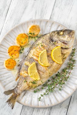 Akdeniz Kurabiyesi Dorada balığı, deniz tarağı ve kekik. 