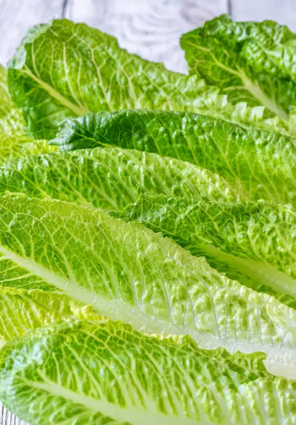 Friss Zöld Romaine Saláta Levelek Közelről Stock Kép