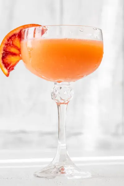 Suckulent Blod Cocktail Utsmyckad Med Orange Hjul Stockbild