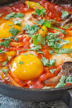 Baharatlı domates soslu yumurta, mantar, biber ve taze otlar.